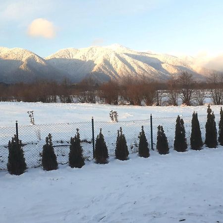 Villa Letizia Near The Pirin Golf Resort บันสโก ภายนอก รูปภาพ