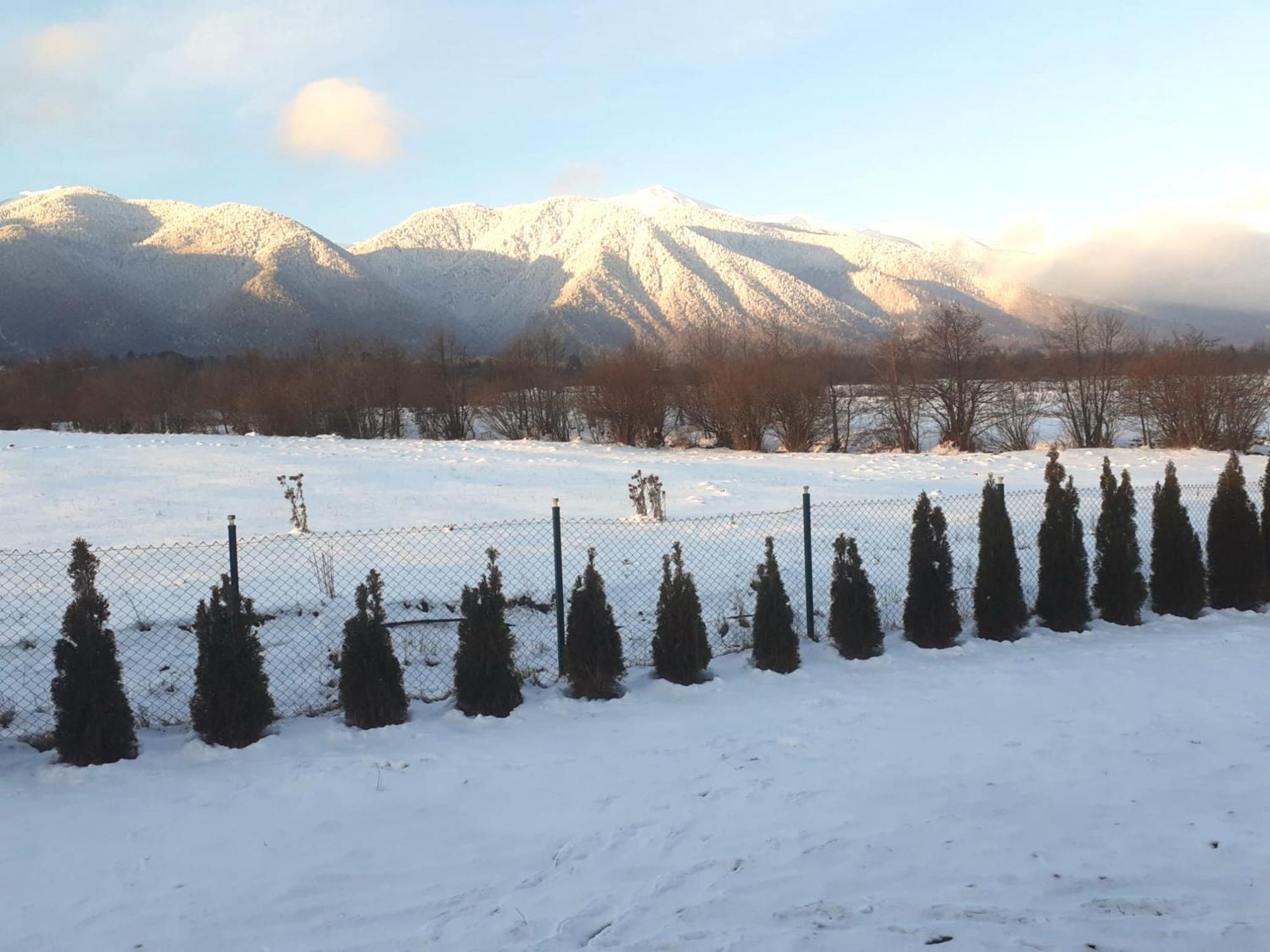 Villa Letizia Near The Pirin Golf Resort บันสโก ภายนอก รูปภาพ